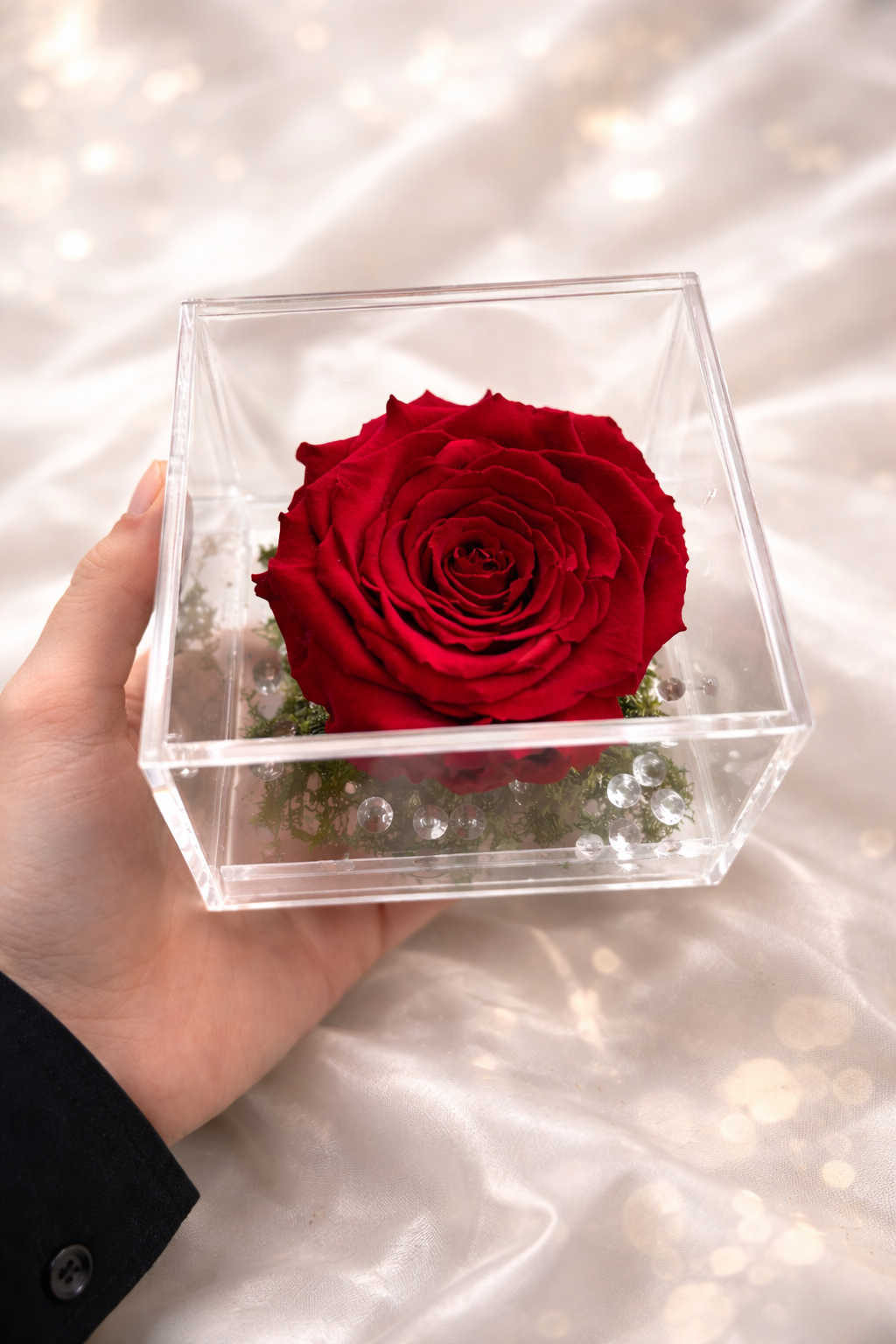 Red rose in a clear cube held by a hand on a white background