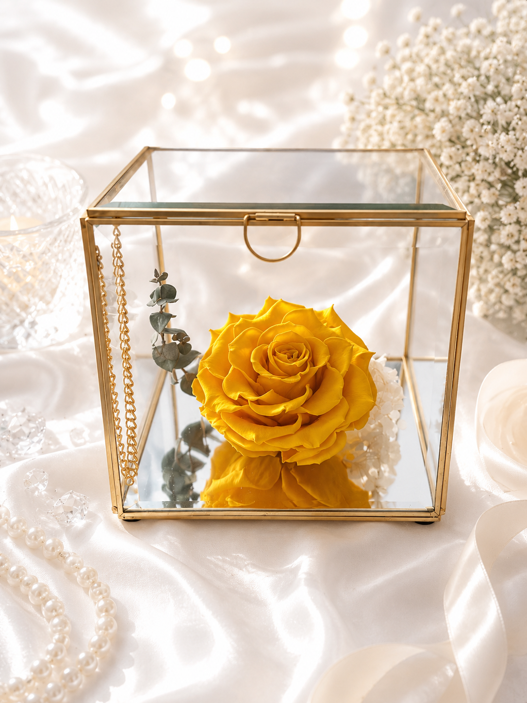 Yellow rose in a glass box on a soft white background