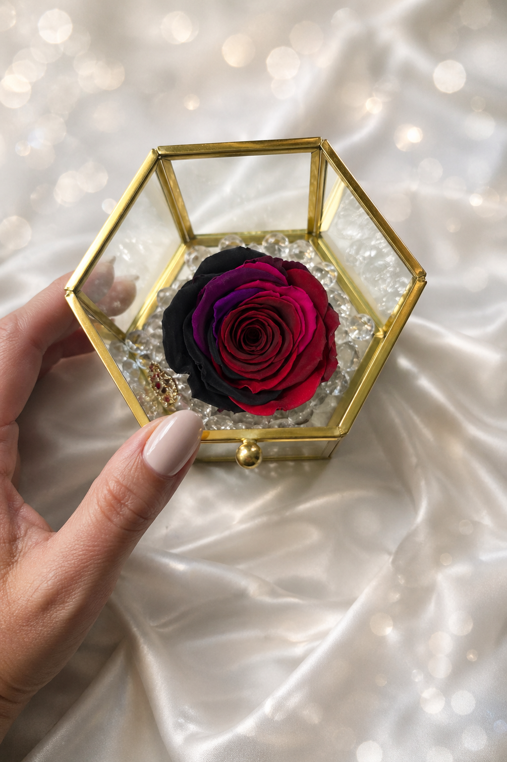 Hexagonal glass box with a preserved rose held by a hand on a sparkling background