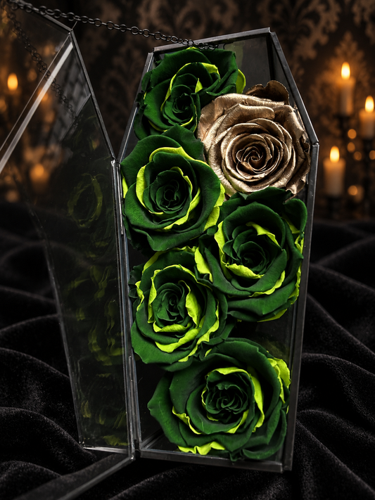 Glass Coffin